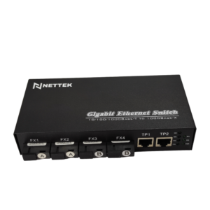 NETTEK NT-4G2E-SC20AB