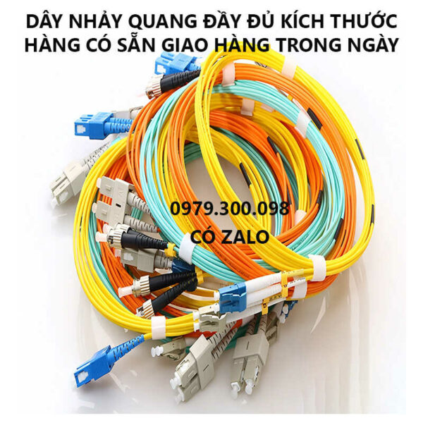 day-nhay-quang-cac-loai-kich-thuoc